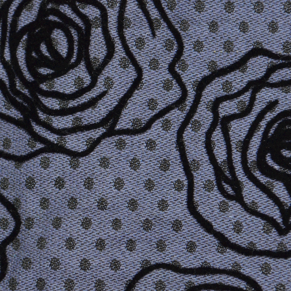 Rose - Spazio