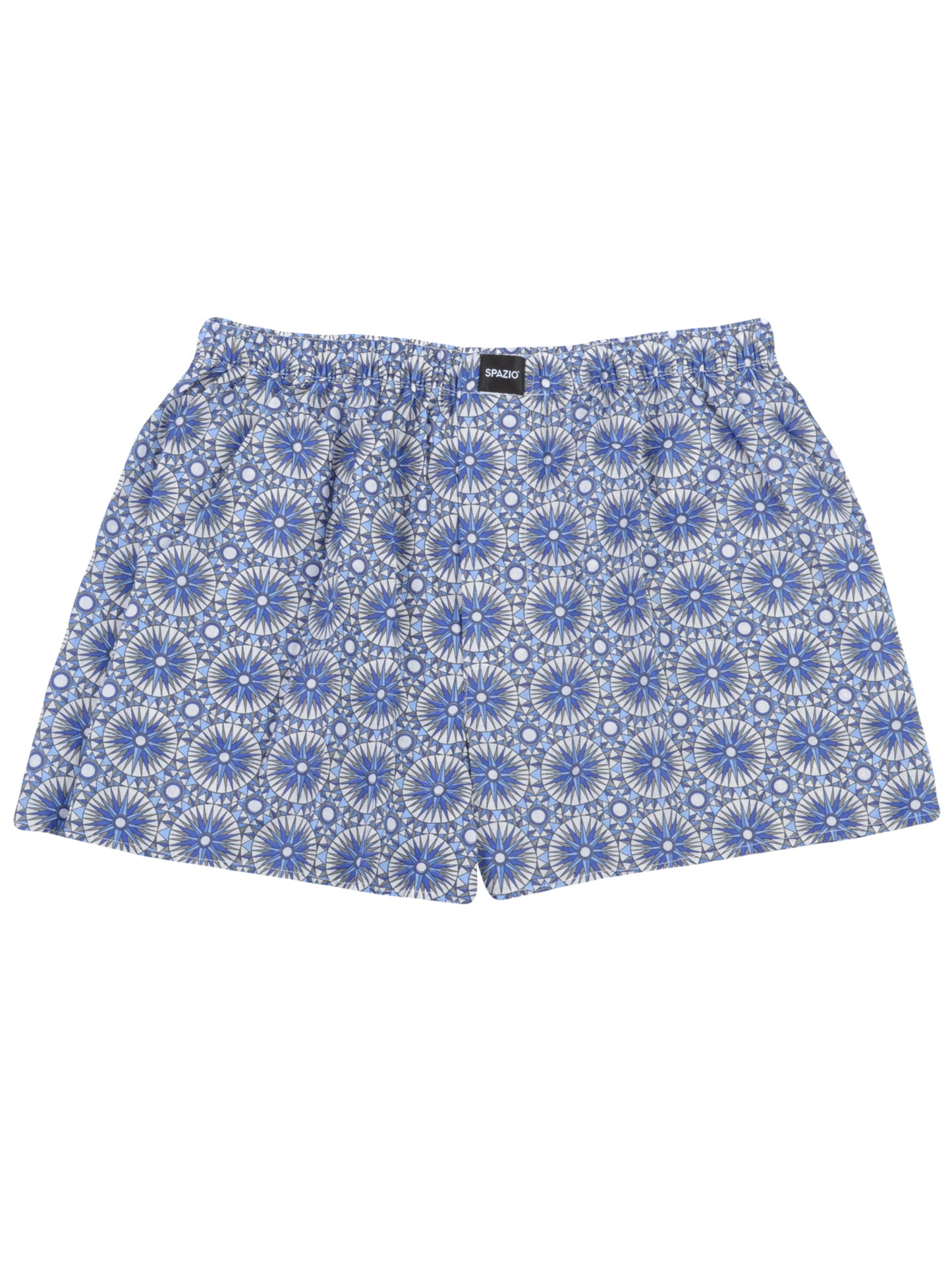 Blue Pinwheel - Spazio  